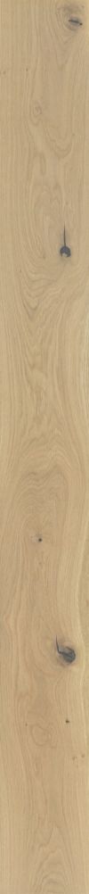 Wildwood Golden Oak